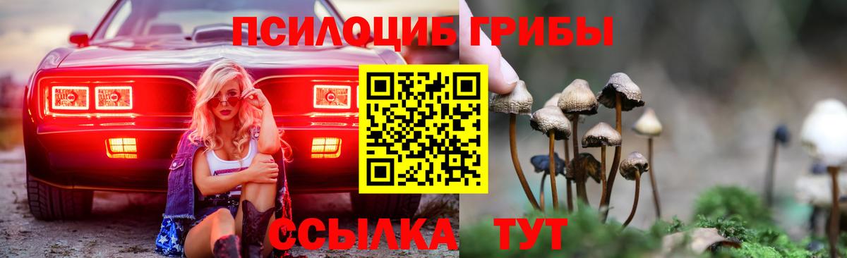 Салехард  Галлюциногенные грибы мицелий  Псилоцибиновые грибы ЛСД  Вход с VPN 